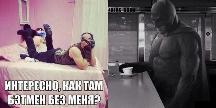 Забавные картинки