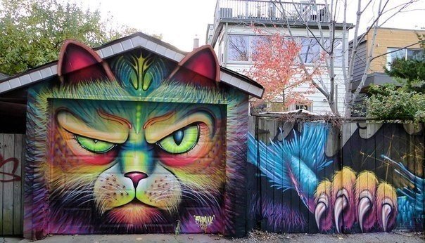 Забавные картинки