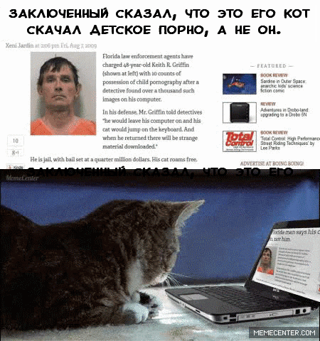 Забавные картинки