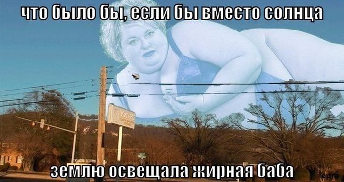 Порция картинок