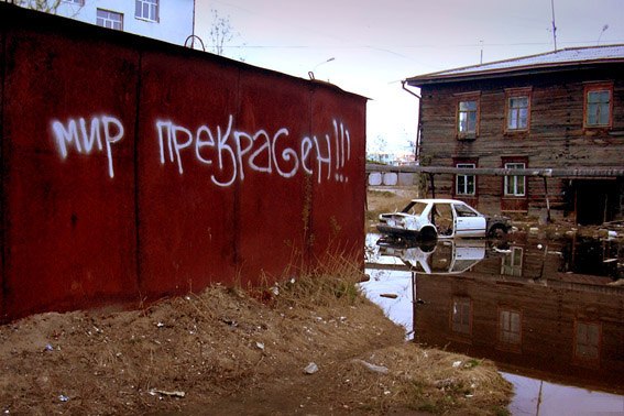 Порция картинок
