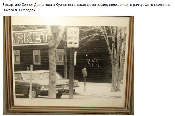 Порция картинок