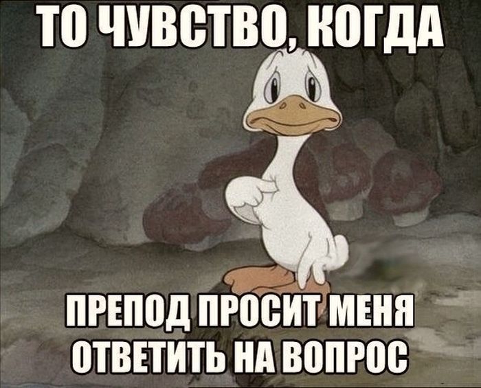 Прикольные картинки (78 фото)