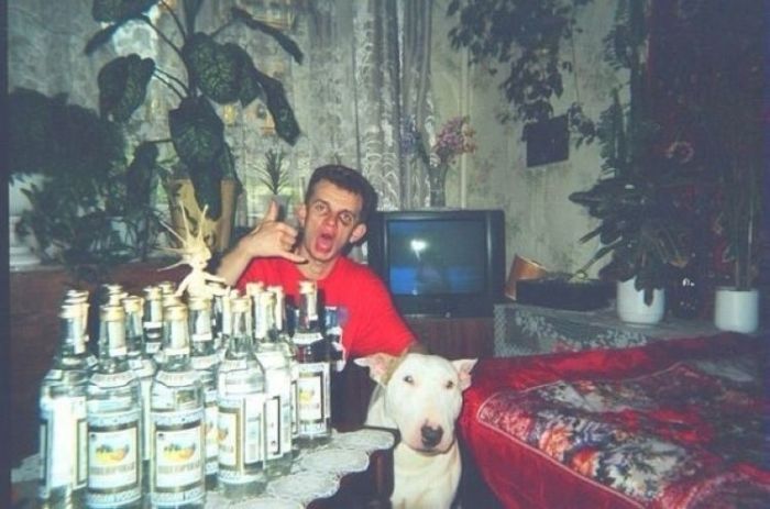 Забавные картинки