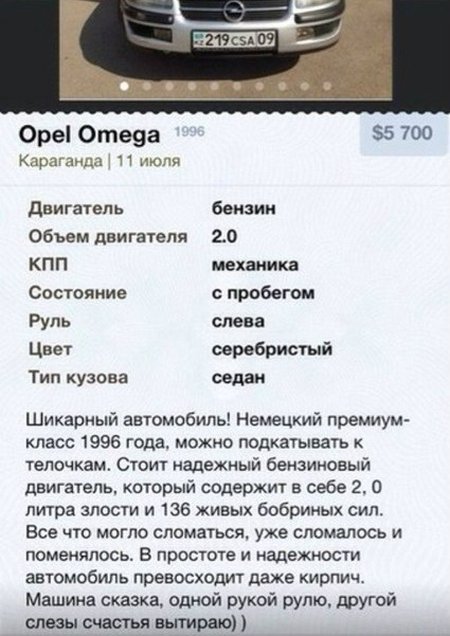 Забавные картинки