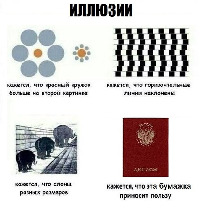 Забавные картинки