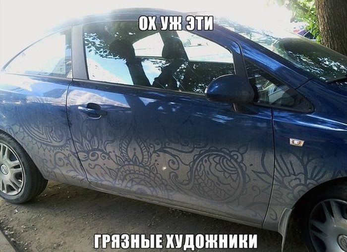 Забавные картинки