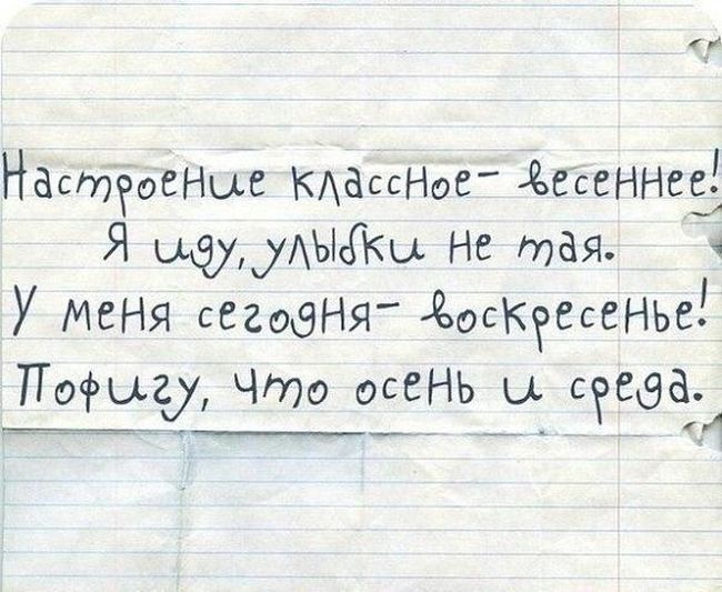 Забавные картинки