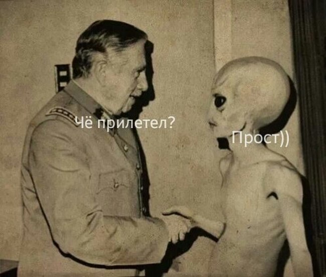 Прикольные картинки (82 фото)