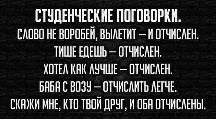 Прикольные картинки (82 фото)