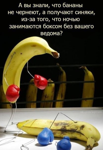 Прикольные картинки (82 фото)