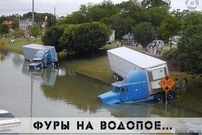 Прикольные картинки (82 фото)