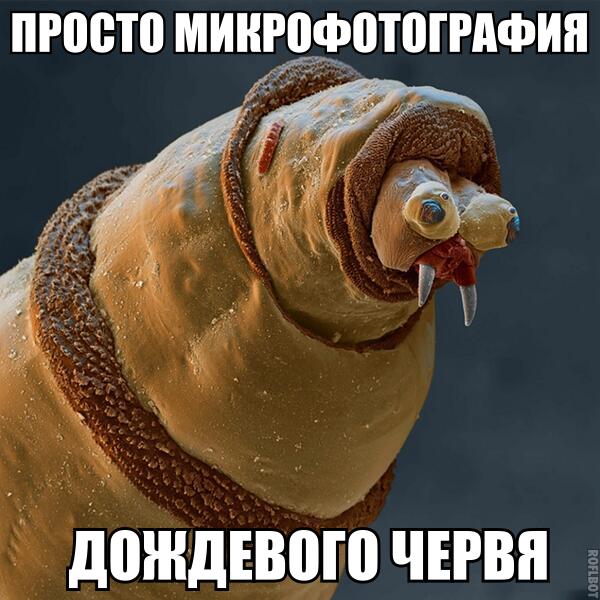 Прикольные картинки (82 фото)