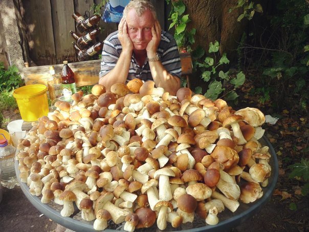 Прикольные картинки (82 фото)