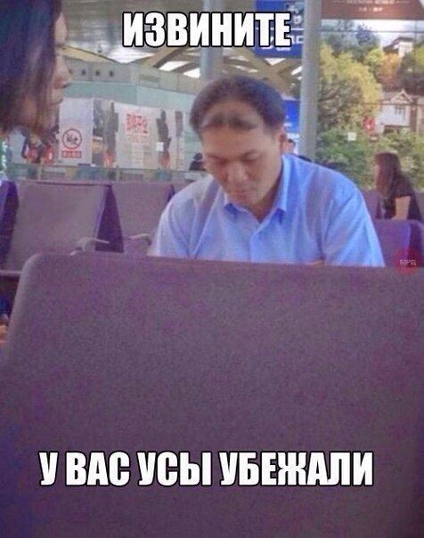 Прикольные картинки (84 фото)