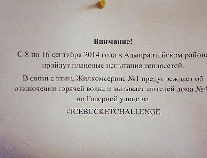 Прикольные картинки (84 фото)