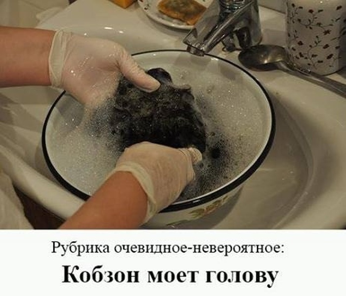Прикольные картинки (84 фото)