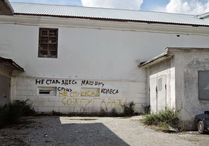 Прикольные картинки (84 фото)