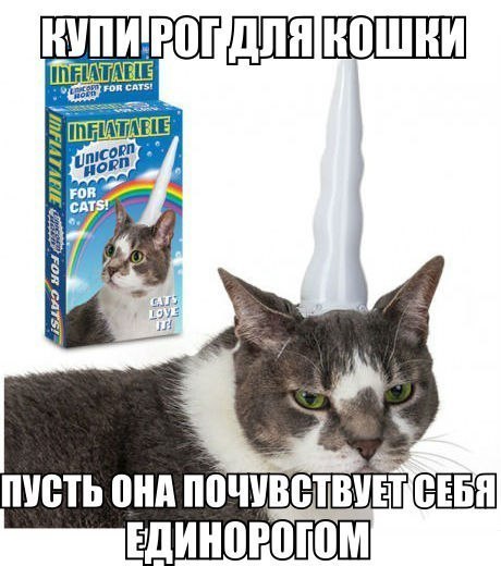 Прикольные картинки (84 фото)