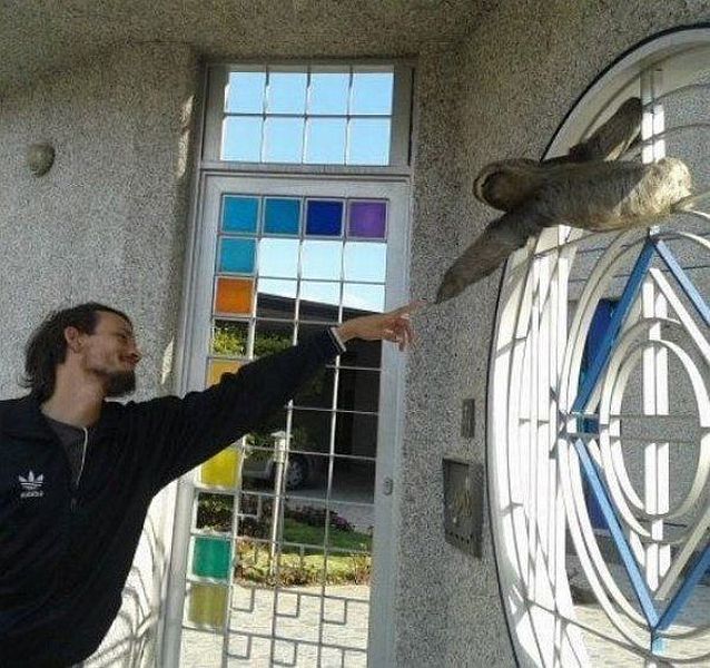 Забавные картинки