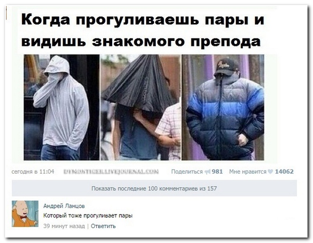 Смешные комментарии из социальных сетей