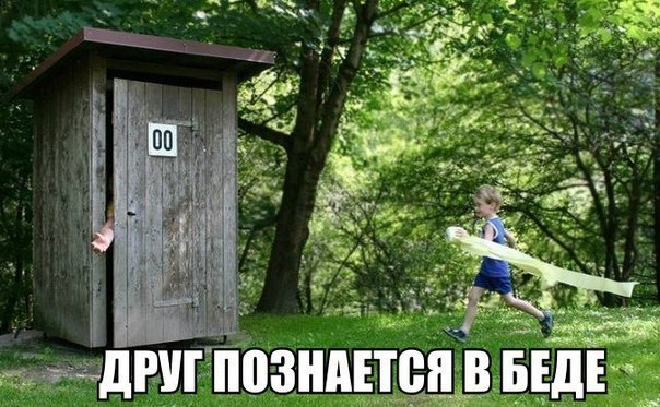Прикольные картинки (98 фото)