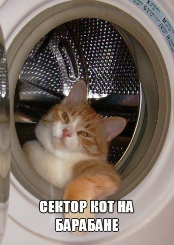 Прикольные картинки (98 фото)