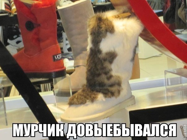 Прикольные картинки (98 фото)