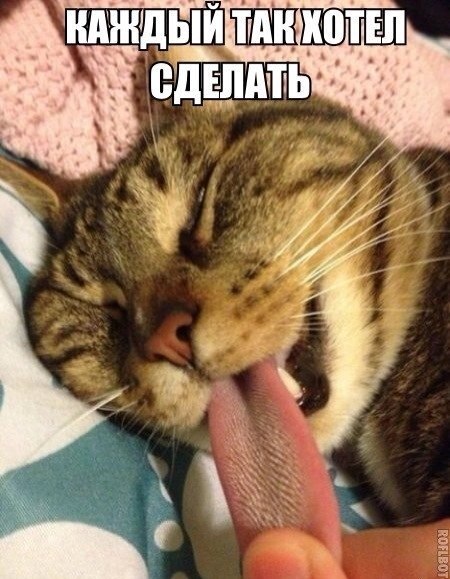 Прикольные картинки (98 фото)