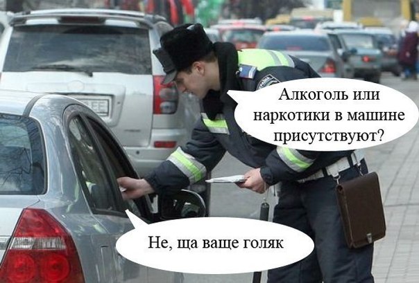Прикольные картинки (98 фото)