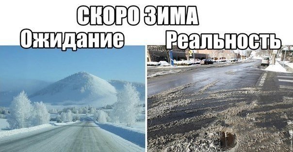 Прикольные картинки (98 фото)