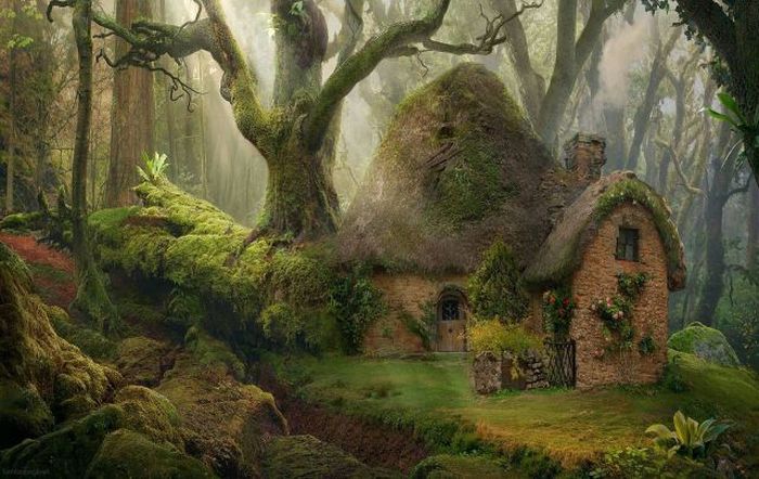 Прикольные картинки (98 фото)
