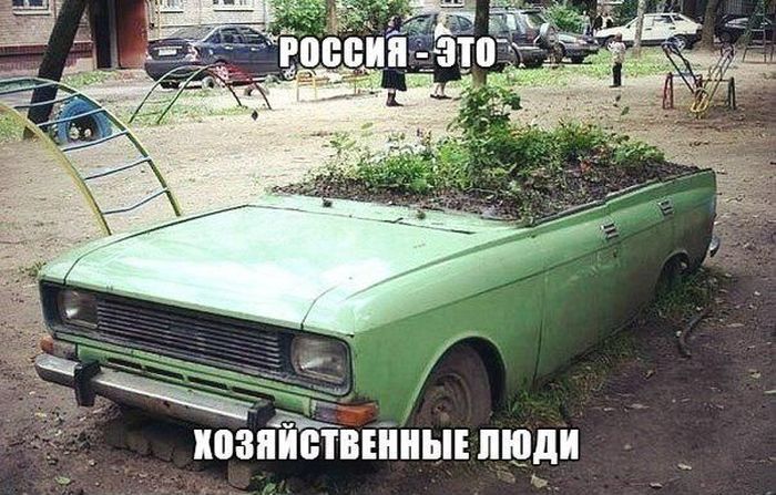 Прикольные картинки (98 фото)