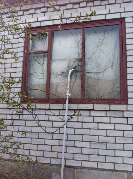 Прикольные картинки (98 фото)