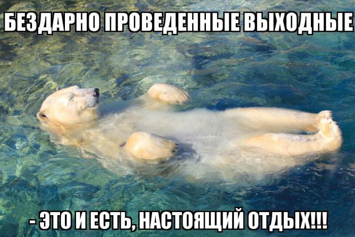 Прикольные картинки (98 фото)