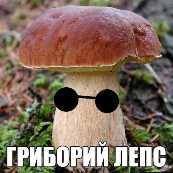 Прикольные картинки (98 фото)