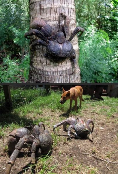 Прикольные картинки (98 фото)