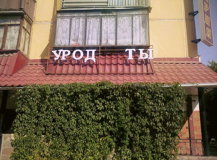 Прикольные картинки (98 фото)