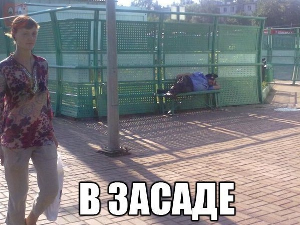 Забавные картинки