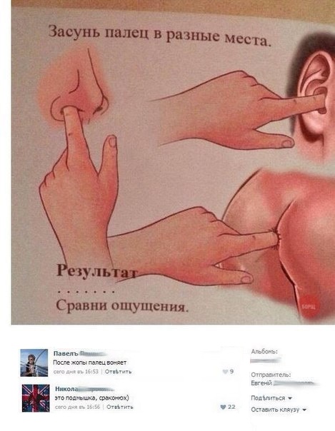 Забавные картинки
