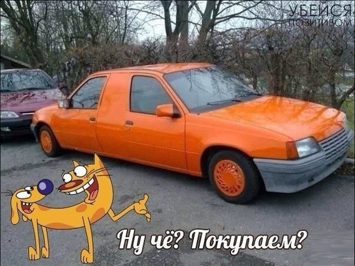 Прикольные картинки (102 фото)