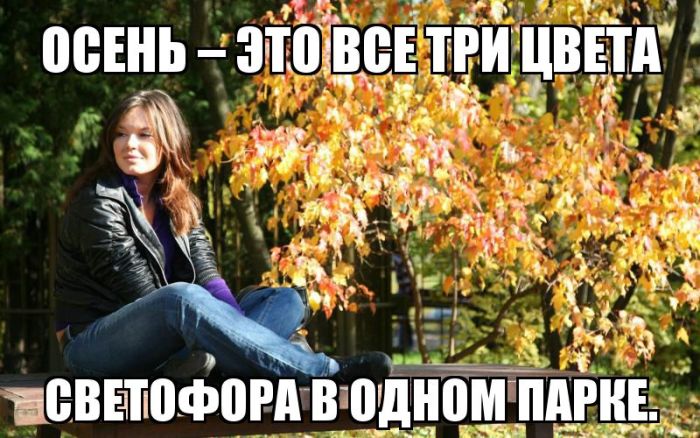 Прикольные картинки (102 фото)