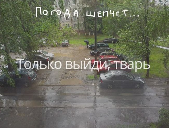 Прикольные картинки (102 фото)