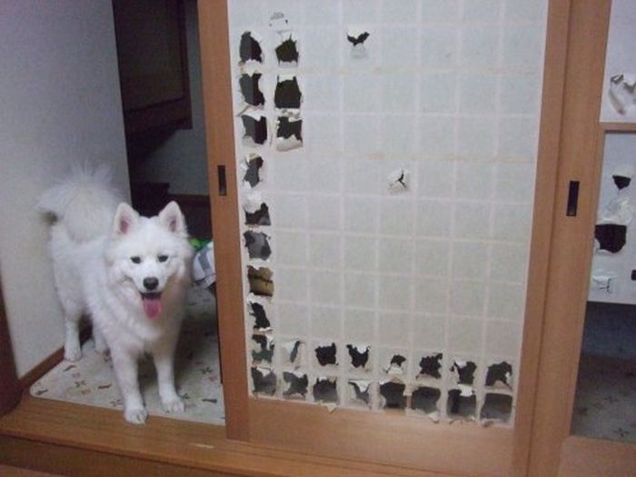 Прикольные картинки (102 фото)