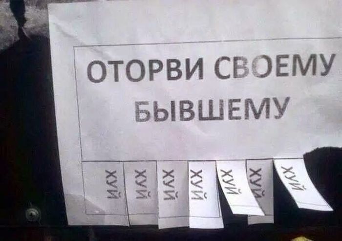 Прикольные картинки (102 фото)