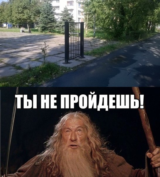 Прикольные картинки (102 фото)