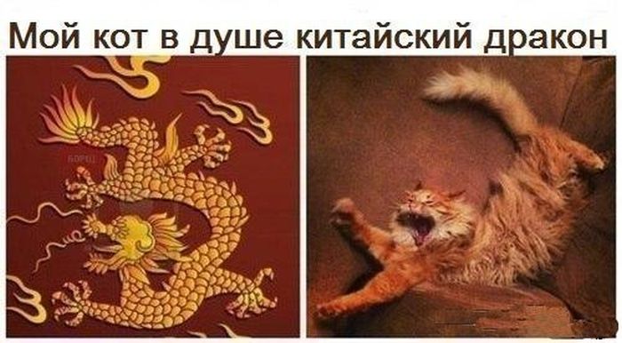 Прикольные картинки (102 фото)