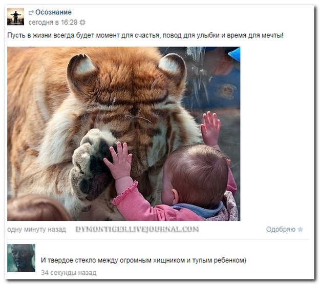Смешные комментарии из социальных сетей