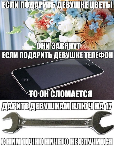 Прикольные картинки (60 фото)