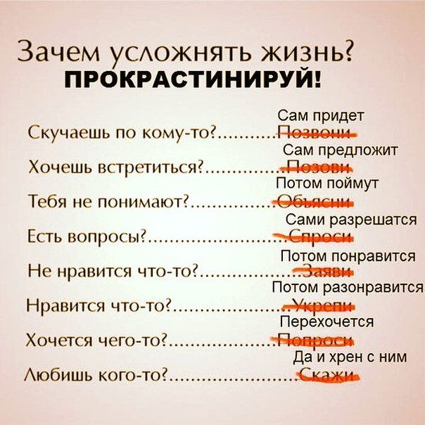 Прикольные картинки (60 фото)
